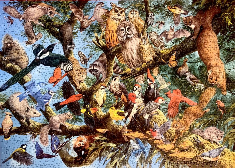Natures Kingdom Temporate Forest Treetops - Holdson🇳🇿 puzzle collectible [Barcode 9414131085187] - Main Image 2