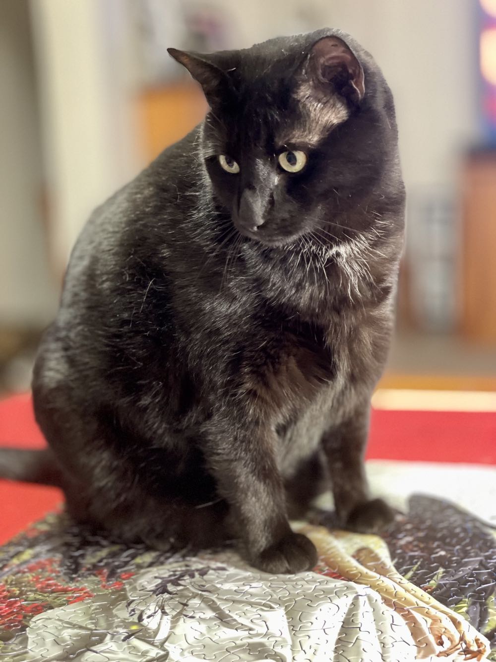 Swan Song Piece Jigsaw Puzzle By Sunsout - SunsOut 🇺🇸 puzzle collectible [Barcode 796780676718] - Main Image 4