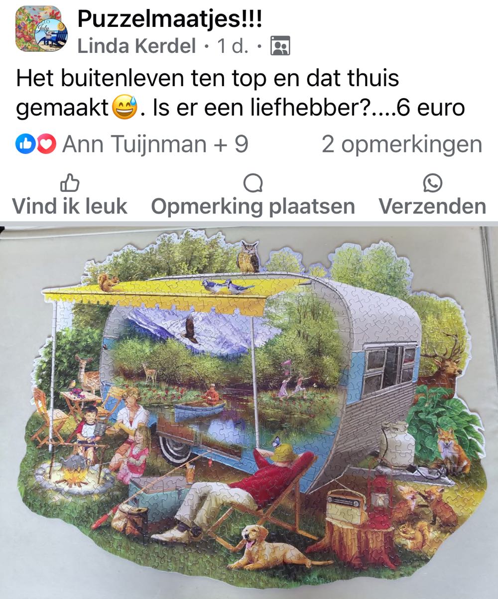 *Camping Trip*** - Bits And Pieces puzzle collectible [Barcode 704812408992] - Main Image 4