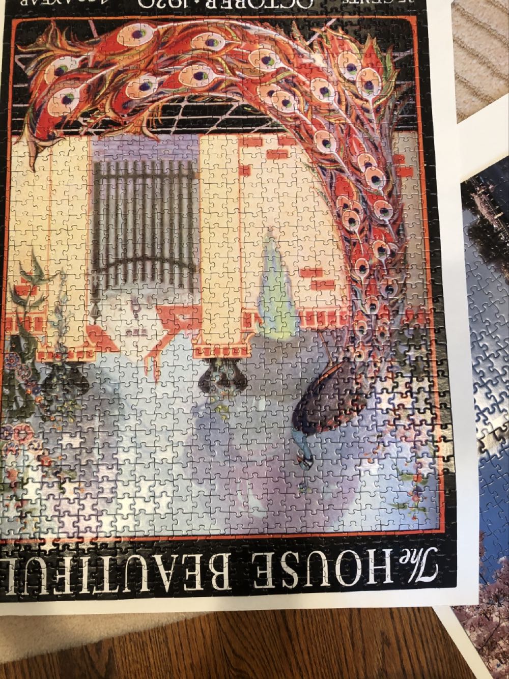 The Bird’s Nest - Americana ❤️