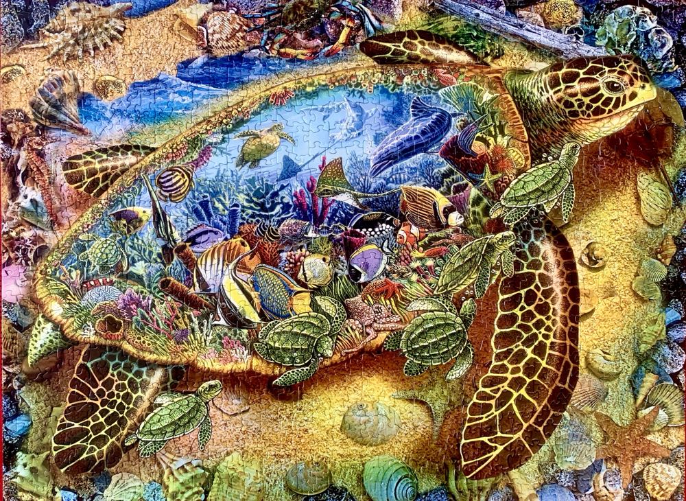 Sea Turtle World - SUNSOUT INC puzzle collectible [Barcode 796780392861] - Main Image 2