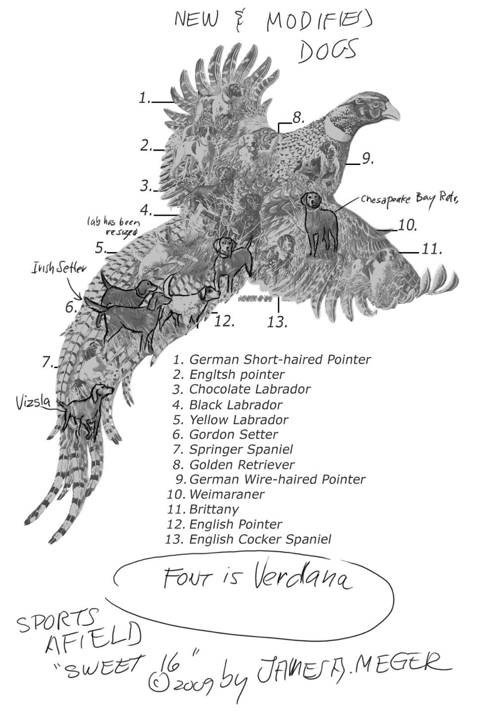 Sports Afield Pheasant Days 🟦 - SunsOut puzzle collectible [Barcode 796780950597] - Main Image 3