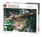 Autumn Colors 🍂 🪵