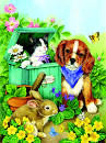 Precious Pets - SunsOut puzzle collectible [Barcode 796780160484] - Main Image 1