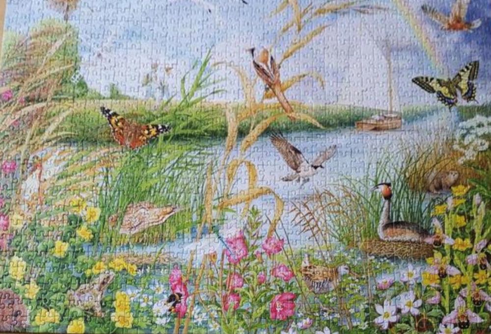 Norfolk Broads - Falcon de luxe puzzle collectible [Barcode 8710126112083] - Main Image 4