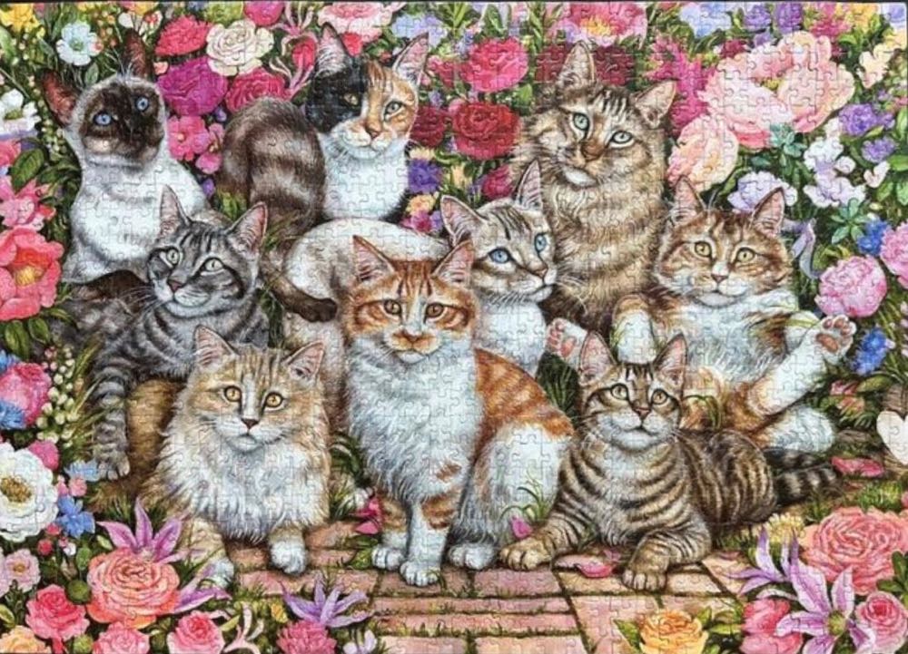 Floral Cats (NIB) NFT - Falcon de luxe puzzle collectible [Barcode 8710126112465] - Main Image 3