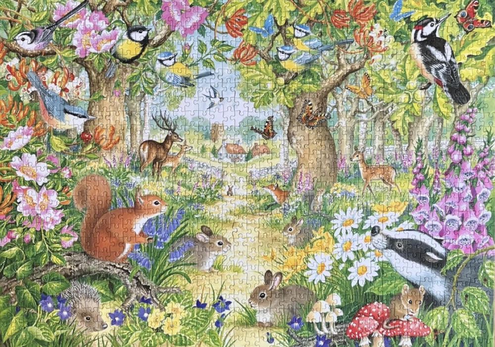 A Woodland Trail - Falcon de luxe puzzle collectible [Barcode 8710126111550] - Main Image 3