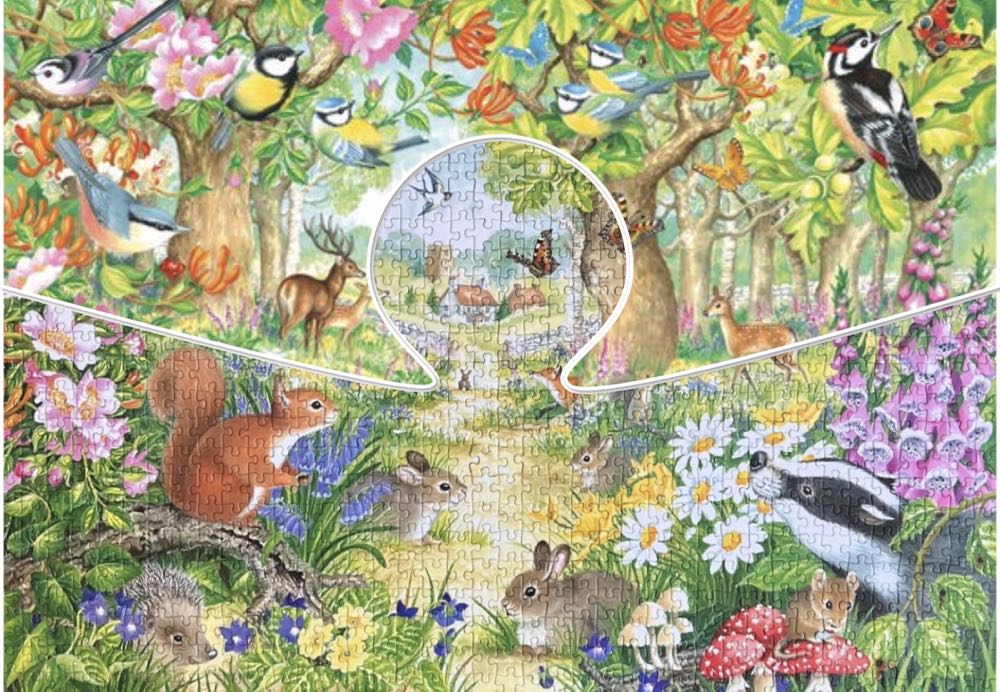 A Woodland Trail - Falcon de luxe puzzle collectible [Barcode 8710126111550] - Main Image 4