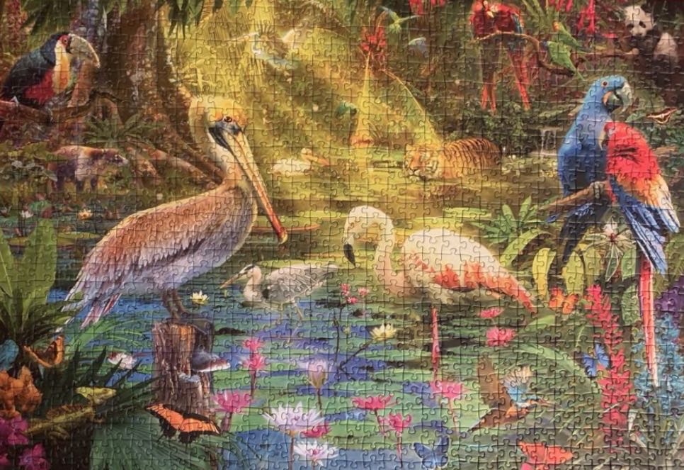 Bird Paradise - Ravensburger puzzle collectible [Barcode 4005556196739] - Main Image 3