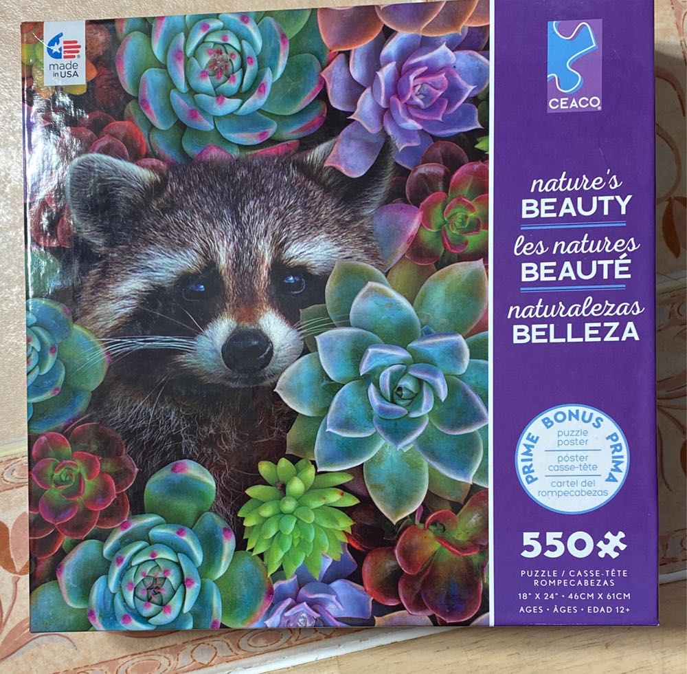 Butterfly Garden - JJ  🦋