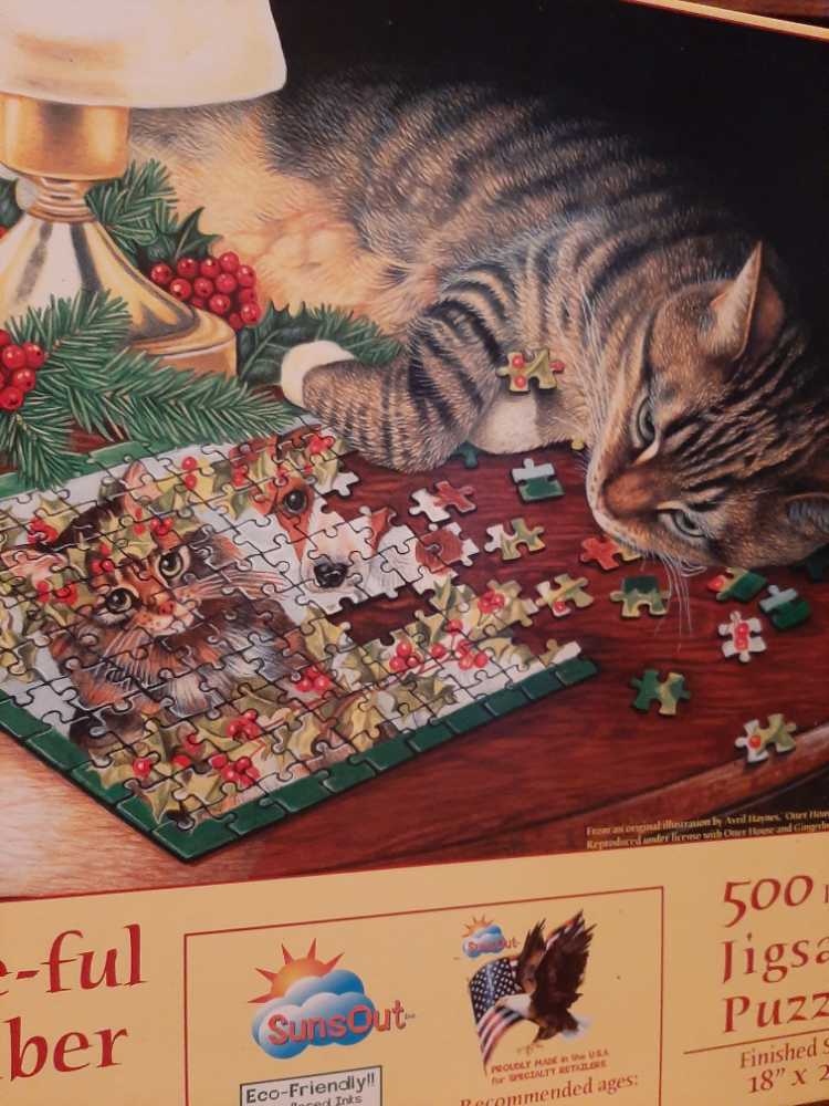 In Het Regenwoud. Jungle Friends