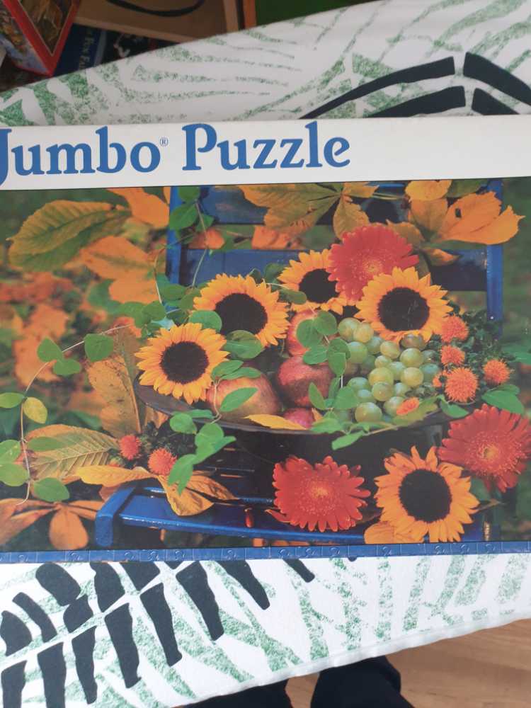 Face Of An Angel F.x. Schmidt Piece Jigsaw Puzzle