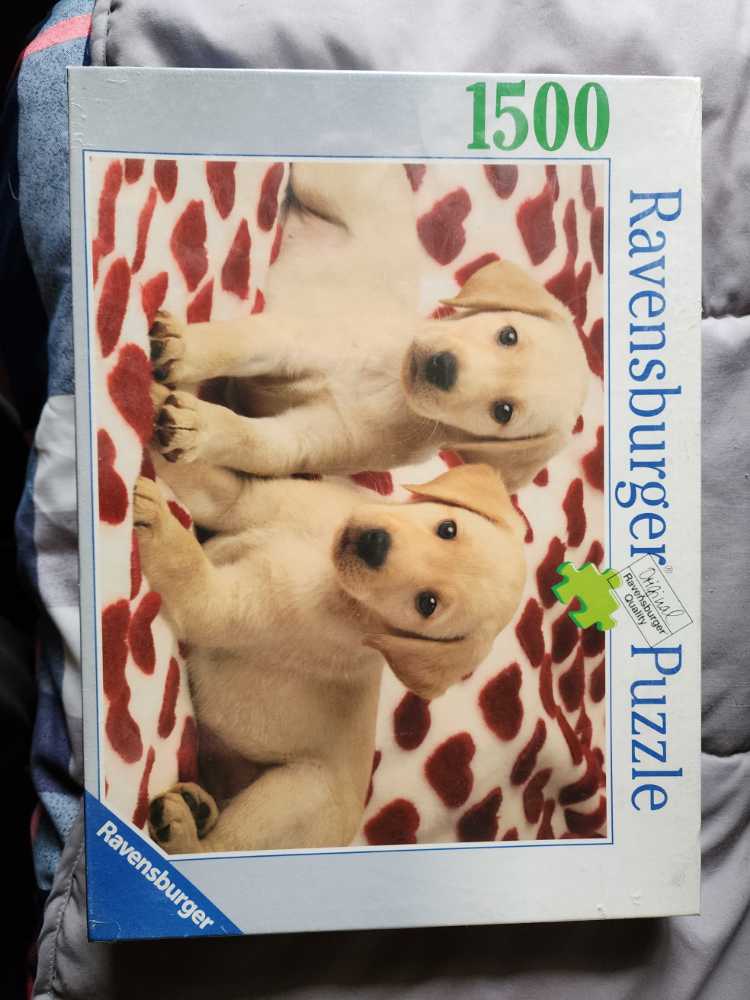 A Golden Moment - Ravensburger 🇩🇪 puzzle collectible [Barcode 4005556162208] - Main Image 2