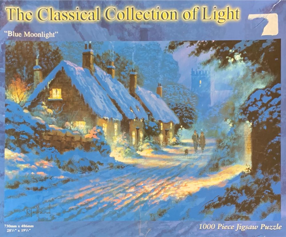 Amazing Sea Turtles - For Sale