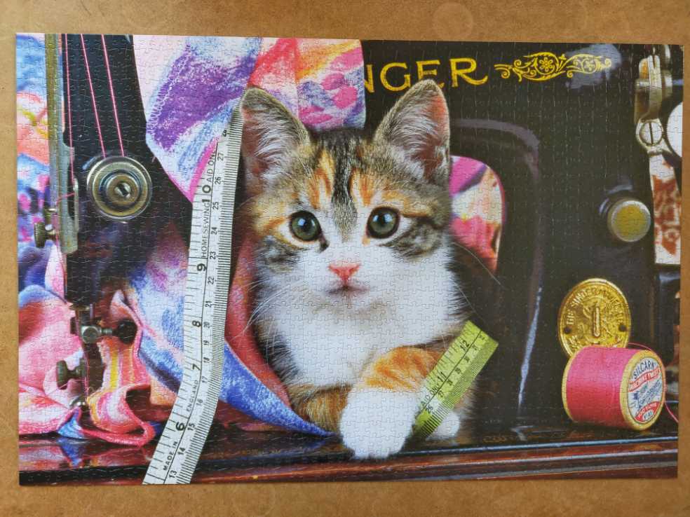 Kitten & Cotton - Jumbo puzzle collectible [Barcode 8710126810460] - Main Image 2