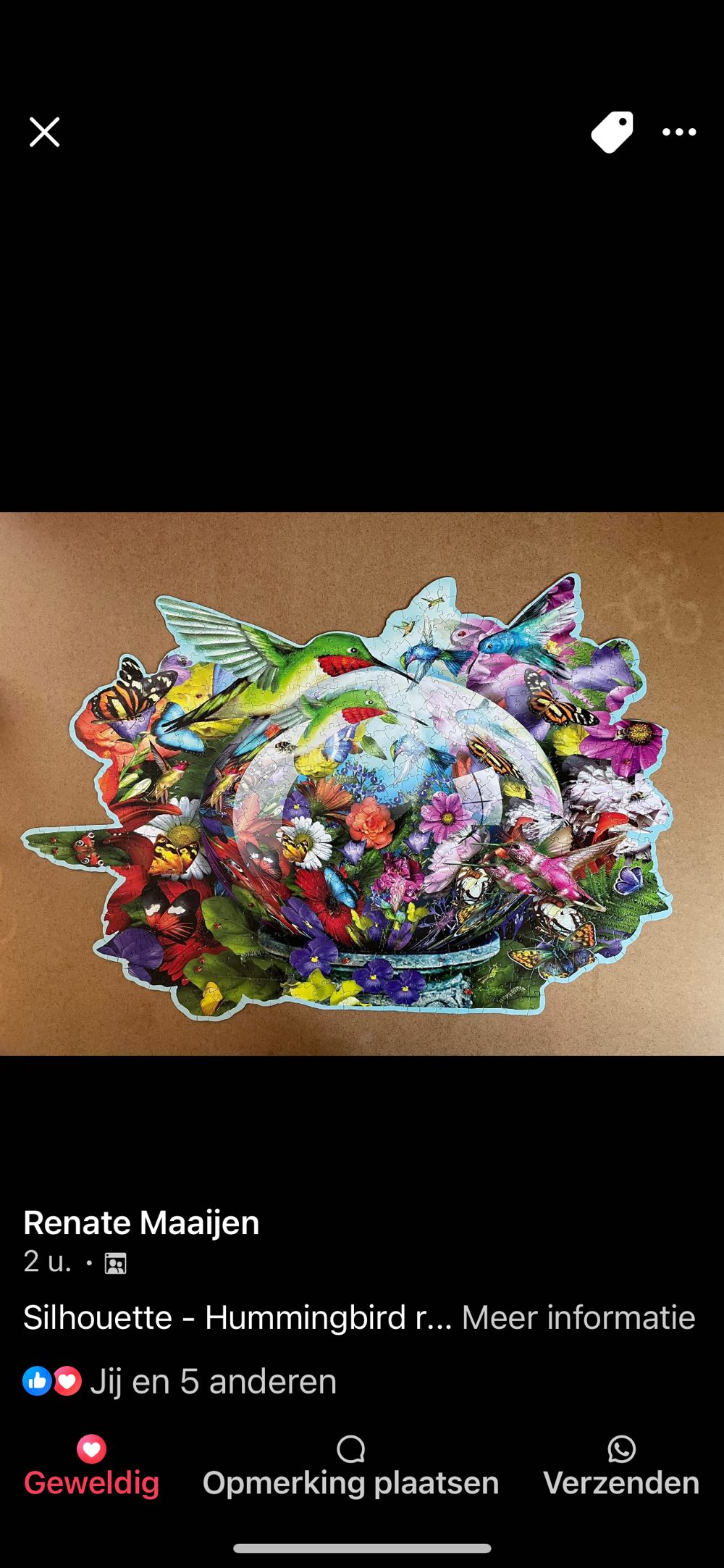 Hummingbird Reflections 📫Ann Tuynman (0,00) - SunsOut puzzle collectible [Barcode 796780953420] - Main Image 4