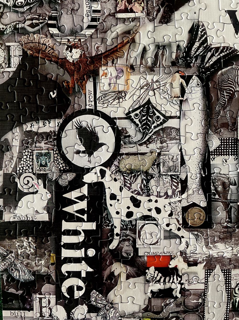 Rainbow Collection: White & Black - Cobble Hill puzzle collectible [Barcode 625012800334] - Main Image 4