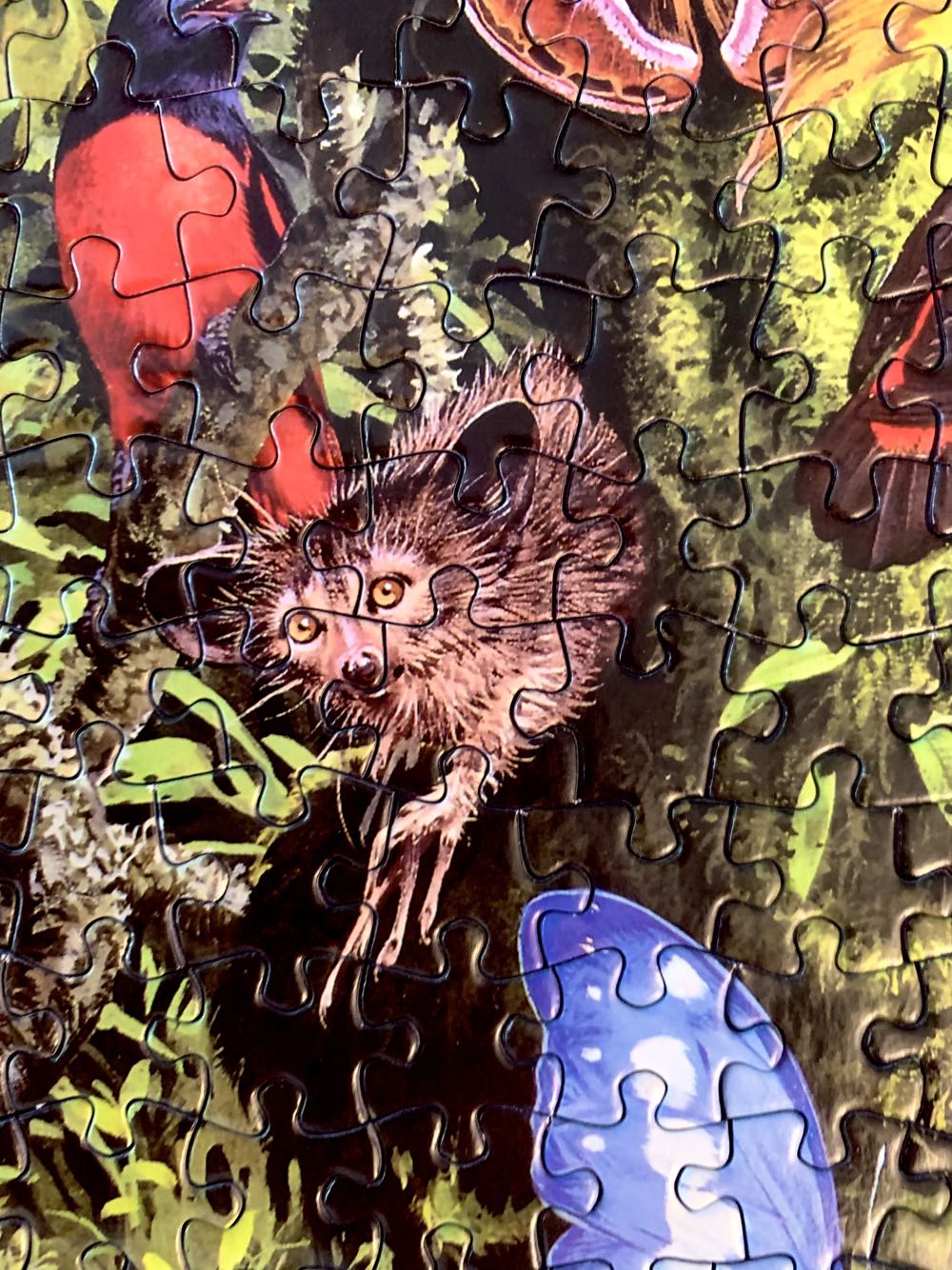 Nature’s Kingdom Tropical Tree Tops - Holdson🇳🇿 puzzle collectible [Barcode 9414131085170] - Main Image 3