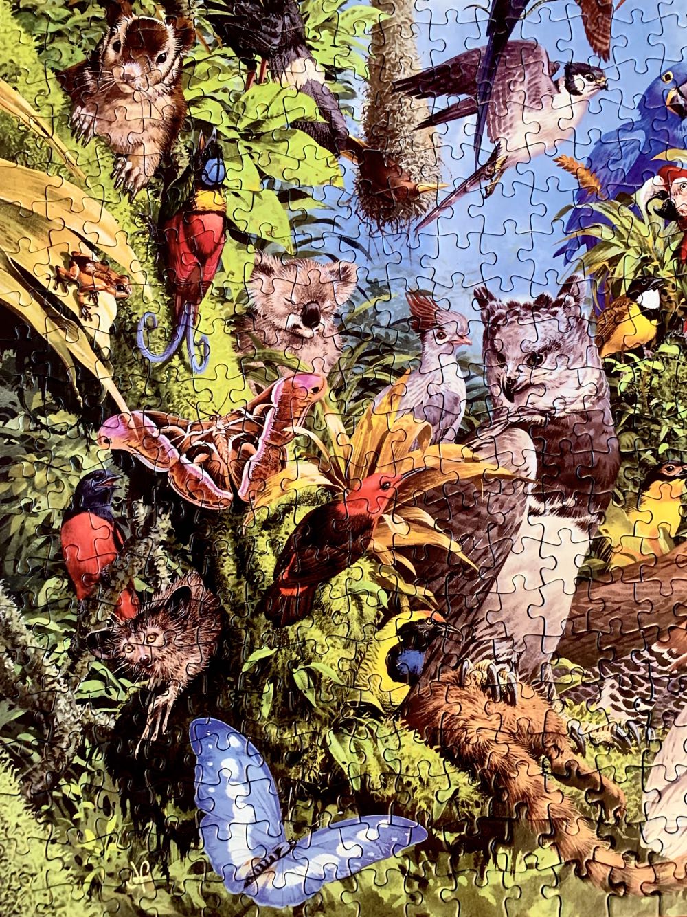 Nature’s Kingdom Tropical Tree Tops - Holdson🇳🇿 puzzle collectible [Barcode 9414131085170] - Main Image 4