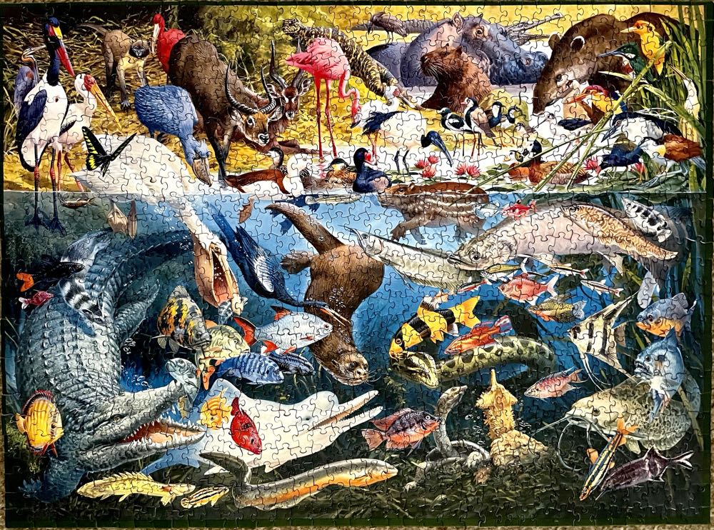 Tropical Waters - SunsOut 🇺🇸 puzzle collectible [Barcode 796780750616] - Main Image 2