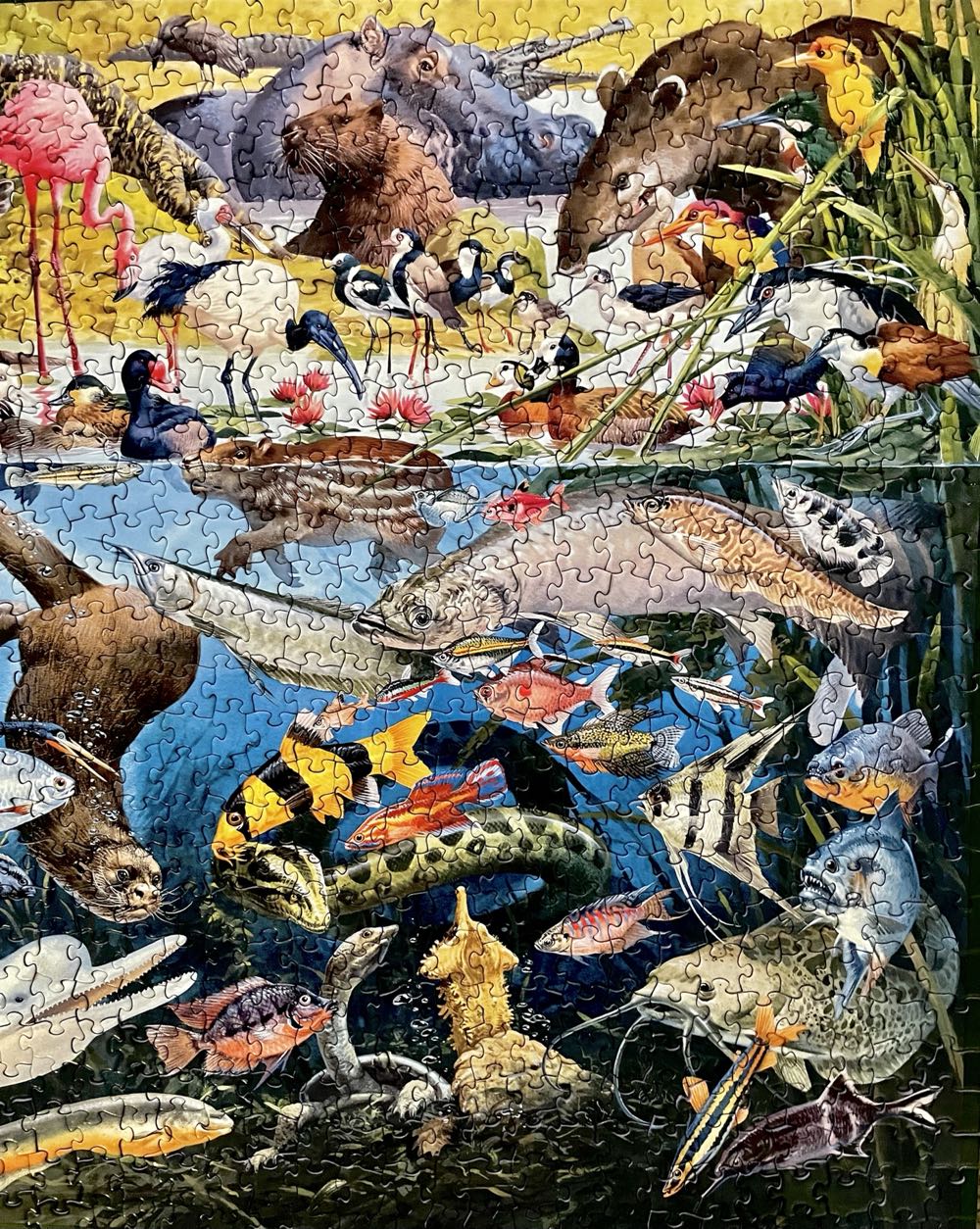 Tropical Waters - SunsOut 🇺🇸 puzzle collectible [Barcode 796780750616] - Main Image 4