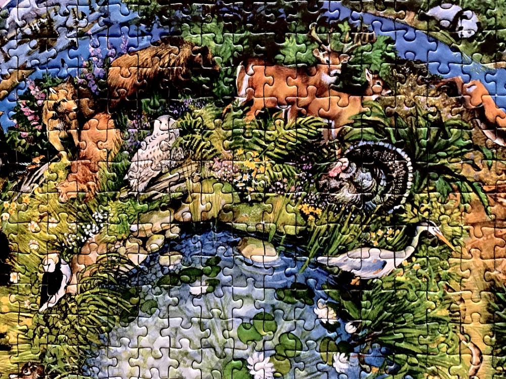Endangered Animals Of The World - F.X. Schmid 🇩🇪 puzzle collectible [Barcode 4004618983379] - Main Image 3