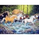 Garage Sale Car Boot Sale