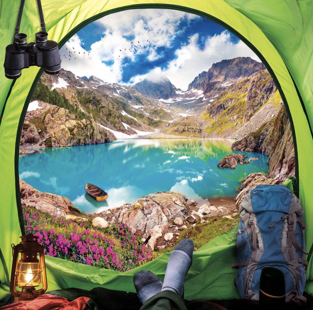 What A View - Buffalo puzzle collectible [Barcode 079346028412] - Main Image 2