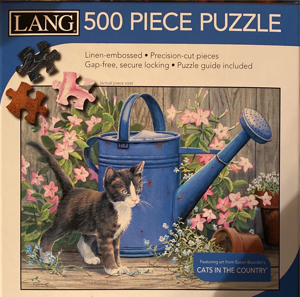 Central Park In The Fall