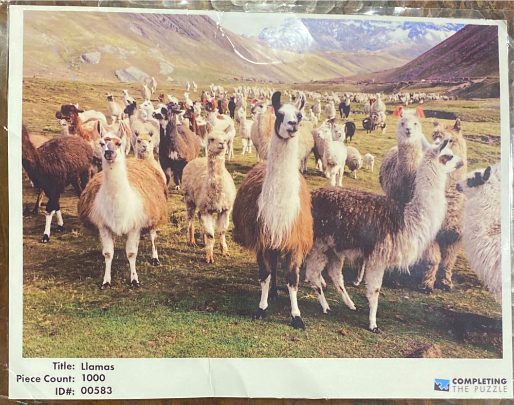 Cobblestone Bridge 🌉 🪨