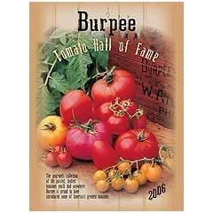 Beautiful Mediterranean Architecture,Spain