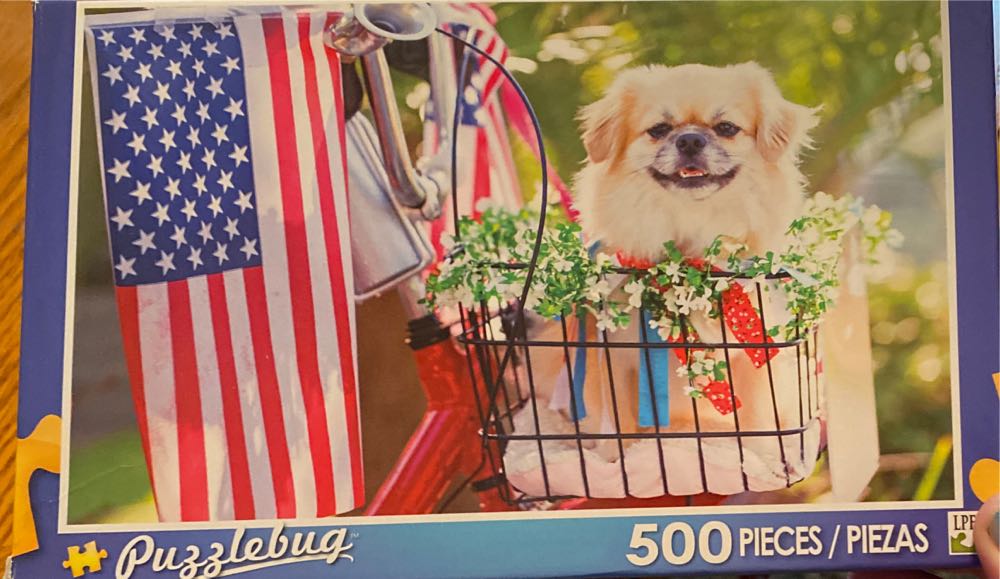 Kittens Visit Betsy’s Room.