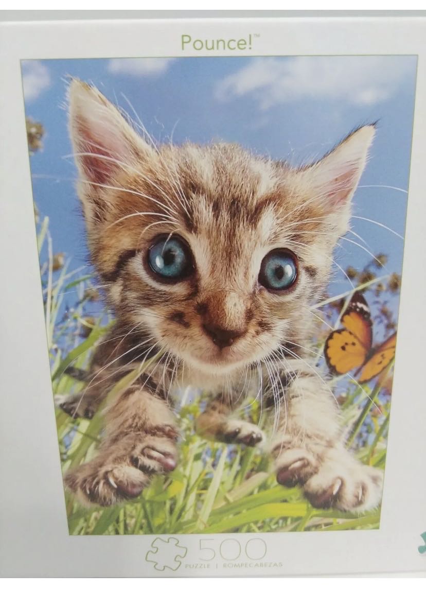 Sold - Venice, City On Water