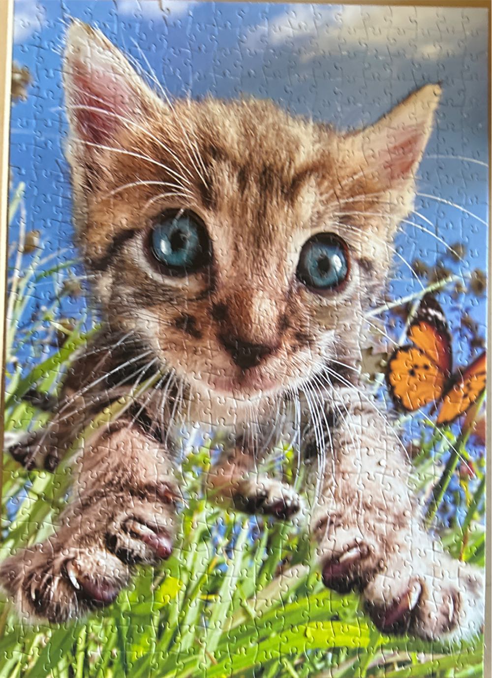 Pounce! - Buffalo puzzle collectible [Barcode 079346031092] - Main Image 2