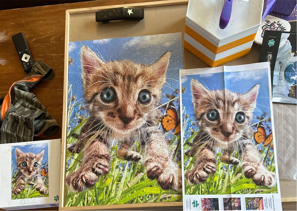 Pounce! - Buffalo puzzle collectible [Barcode 079346031092] - Main Image 3