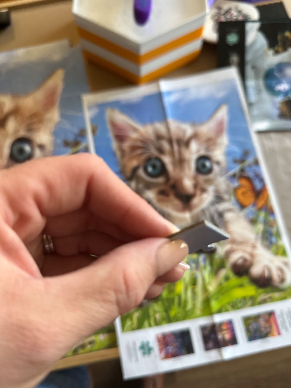 Pounce! - Buffalo puzzle collectible [Barcode 079346031092] - Main Image 4