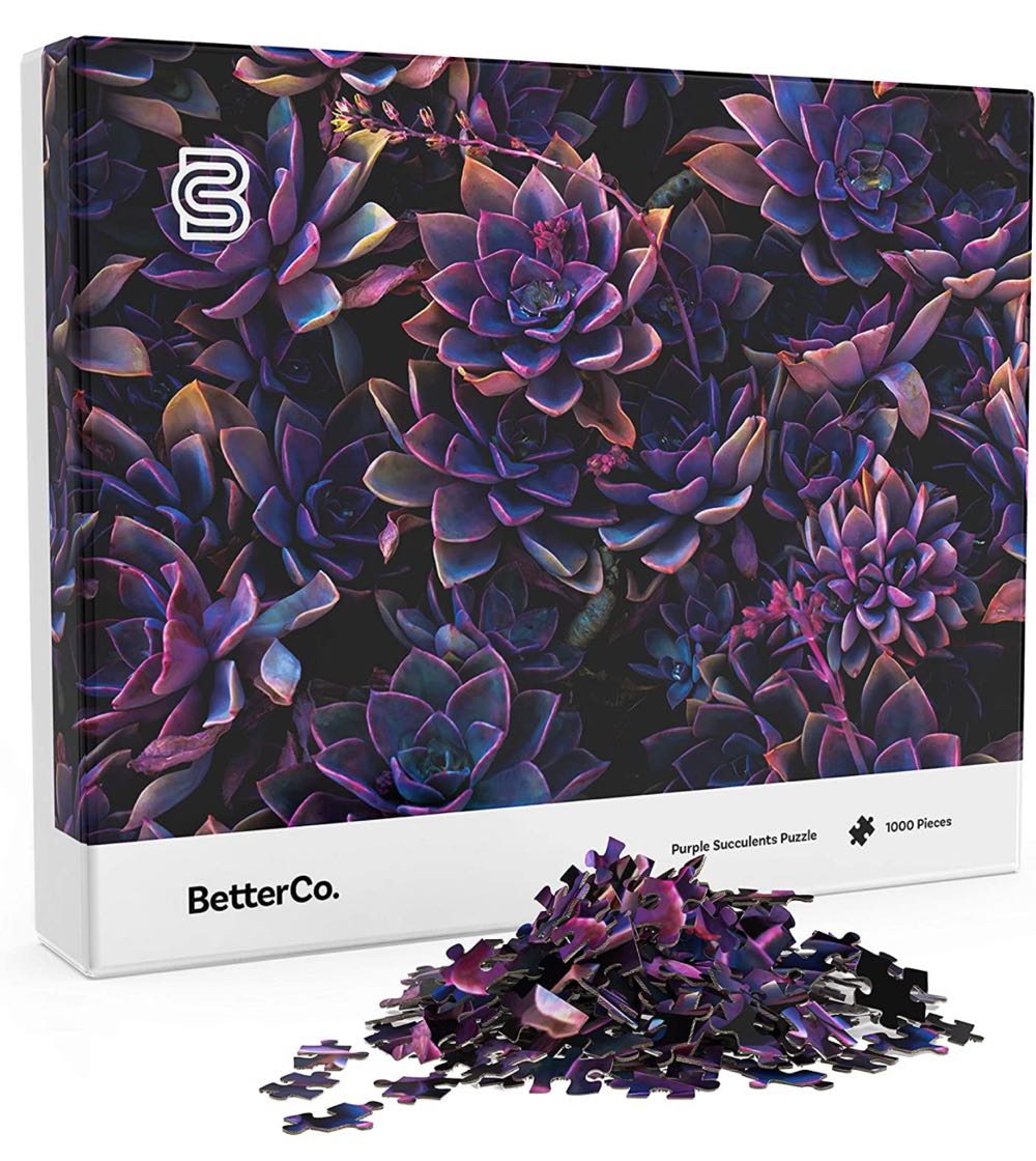 ZZ - Cape Cod Massachusetts (SOLD)