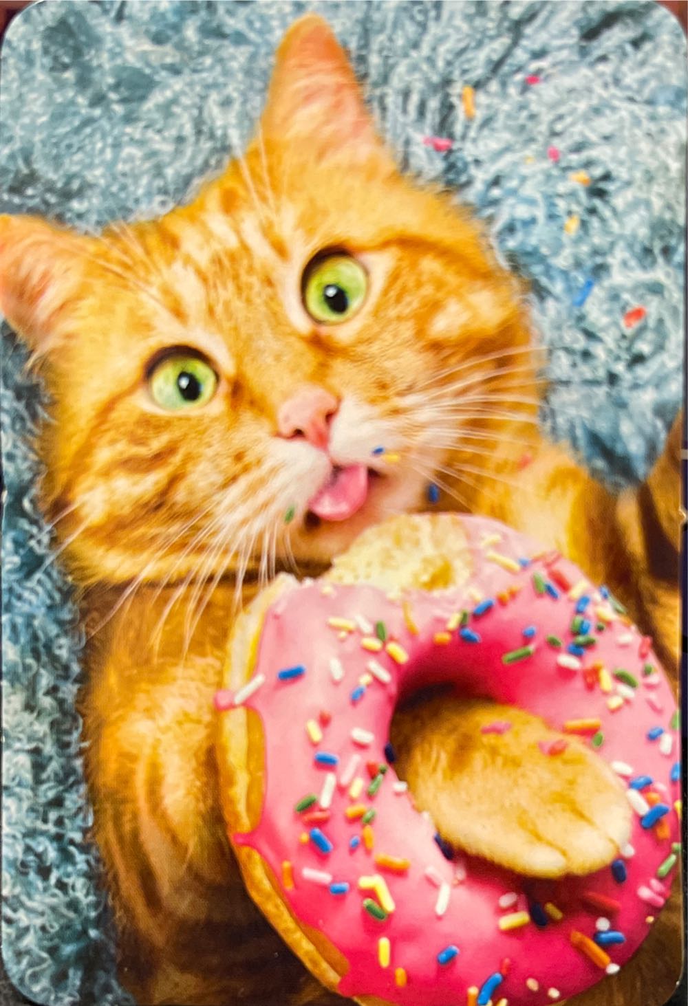 Springbok Christmas Wreath 500 Piece Puzzle