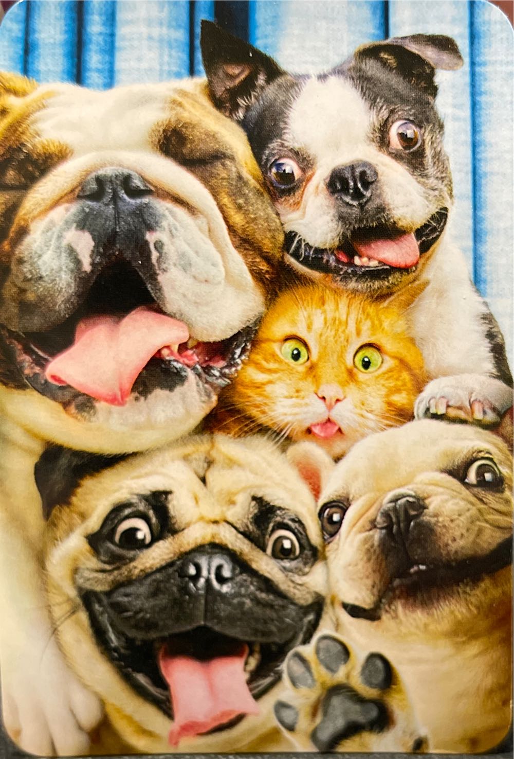 Disney - Vintage Movie Posters