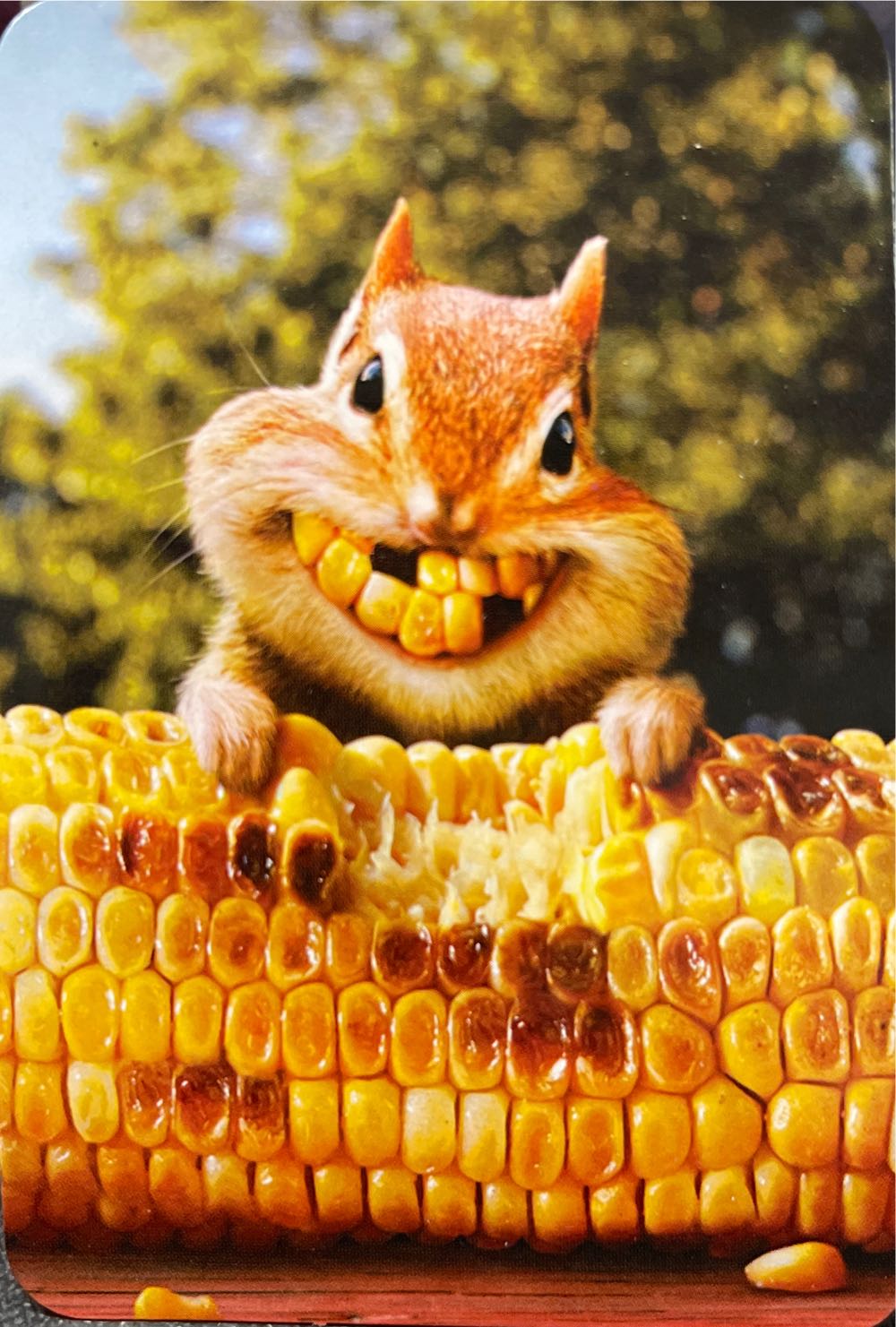 Destiny #9 - Super Models!