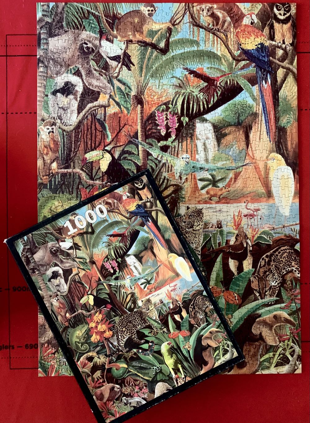 The Rainforest - Animal Awareness puzzle collectible [Barcode 700131222264] - Main Image 2