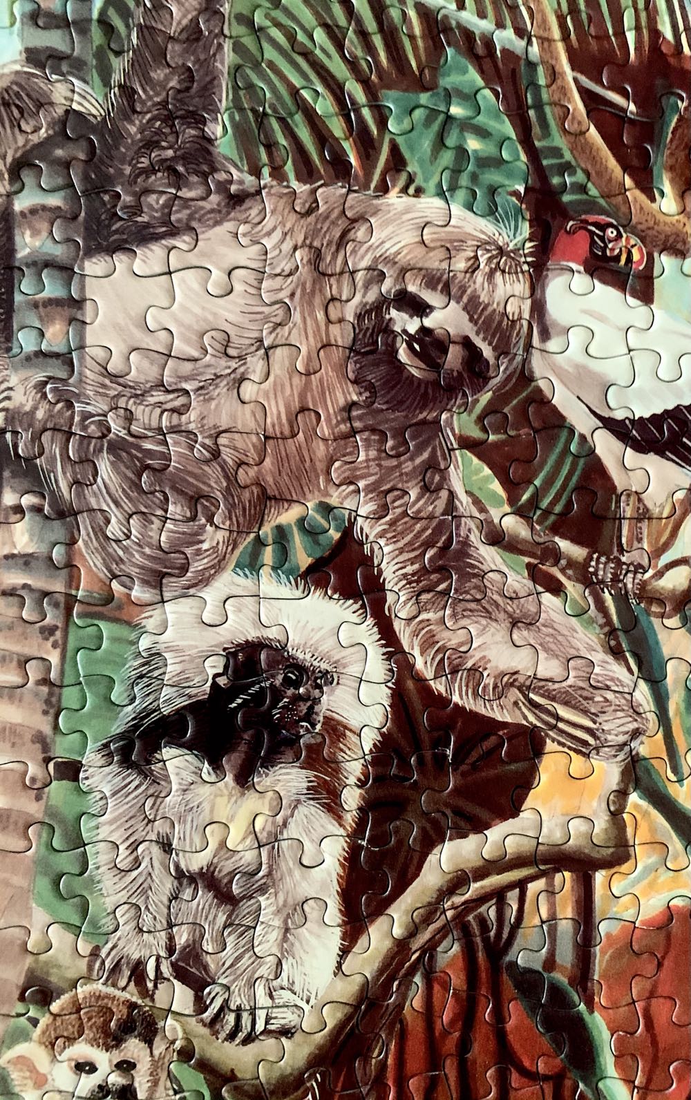 The Rainforest - Animal Awareness puzzle collectible [Barcode 700131222264] - Main Image 3