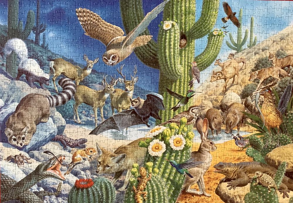 The Desert - Falcon de luxe puzzle collectible [Barcode 5011145033636] - Main Image 2