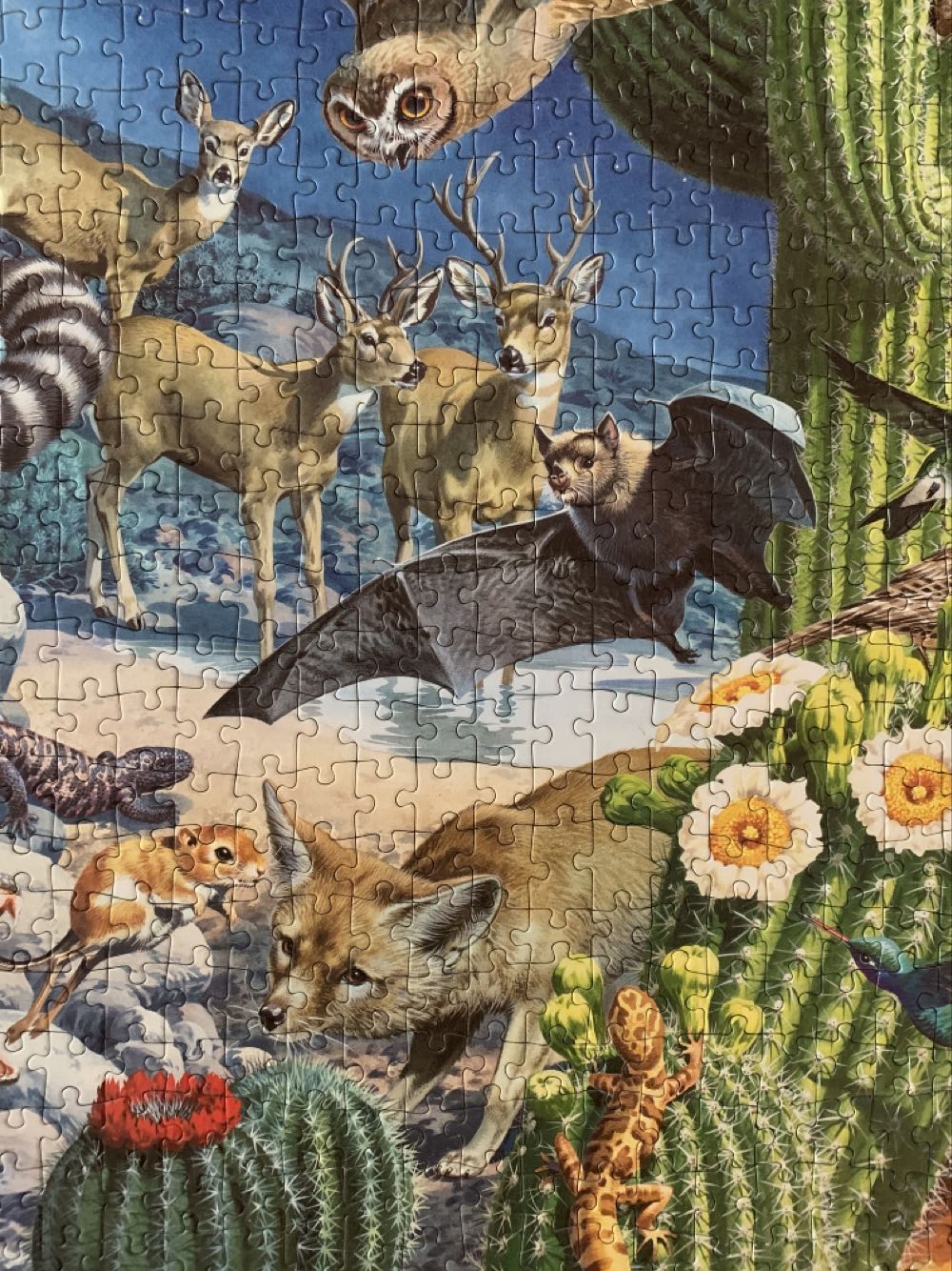 The Desert - Falcon de luxe puzzle collectible [Barcode 5011145033636] - Main Image 3