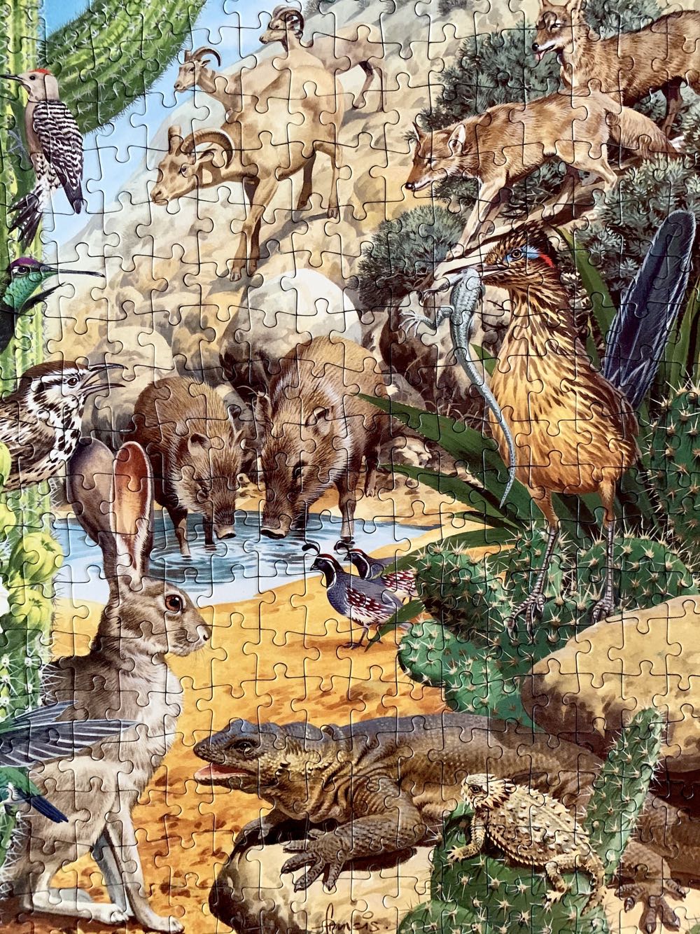 The Desert - Falcon de luxe puzzle collectible [Barcode 5011145033636] - Main Image 4