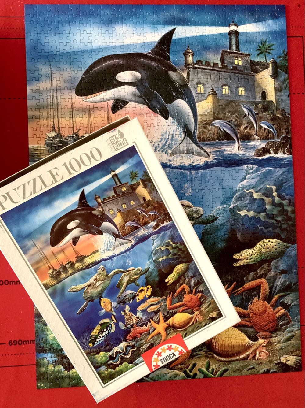 Water Ballet - Educa 🇪🇸 puzzle collectible [Barcode 8411349073297] - Main Image 2