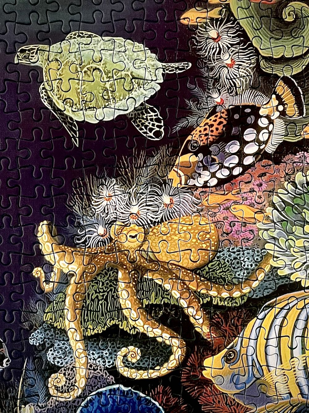 Aqua Eden - Smile🇿🇦 puzzle collectible [Barcode 6002931004168] - Main Image 2