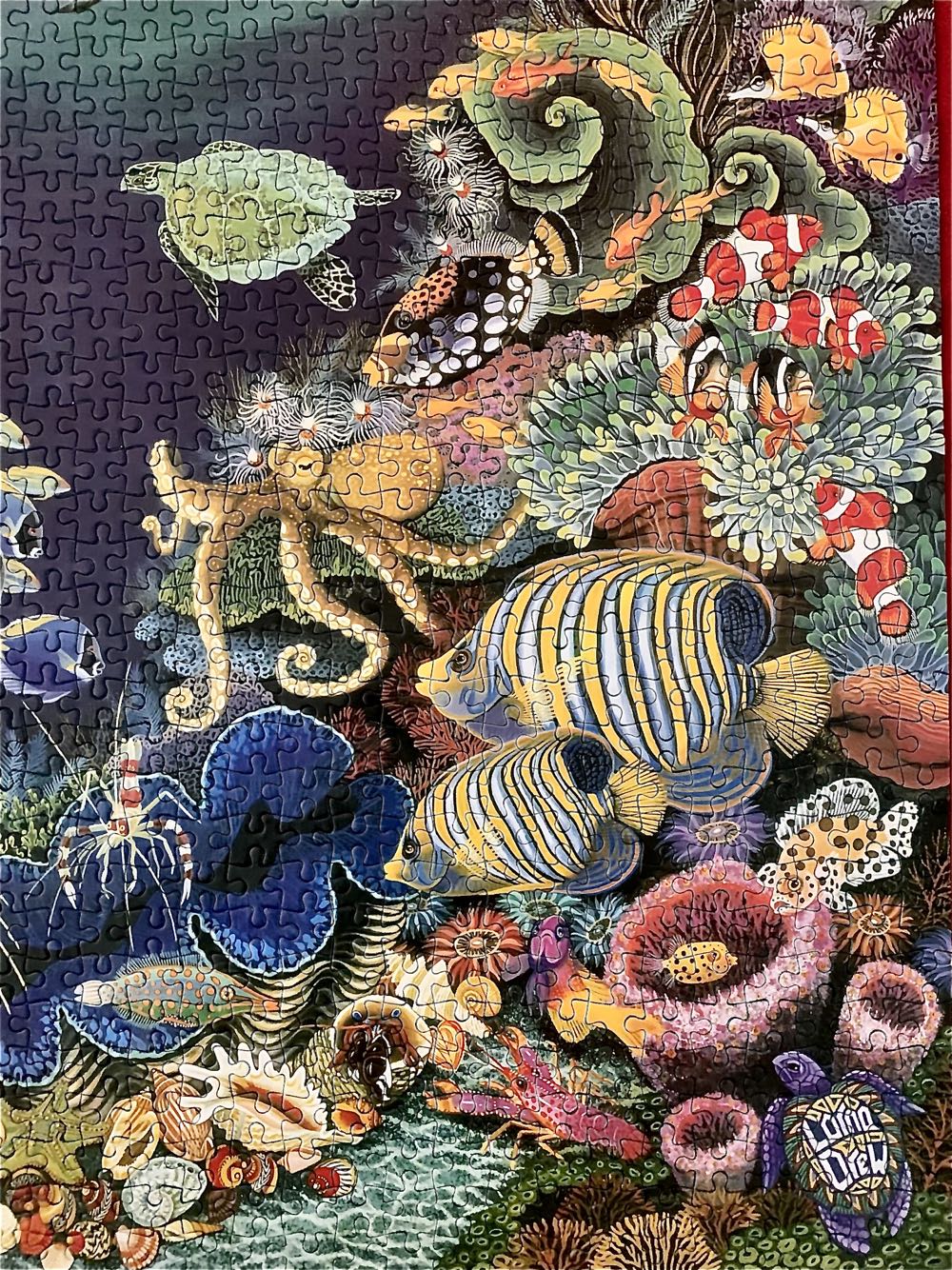 Aqua Eden - Smile🇿🇦 puzzle collectible [Barcode 6002931004168] - Main Image 3