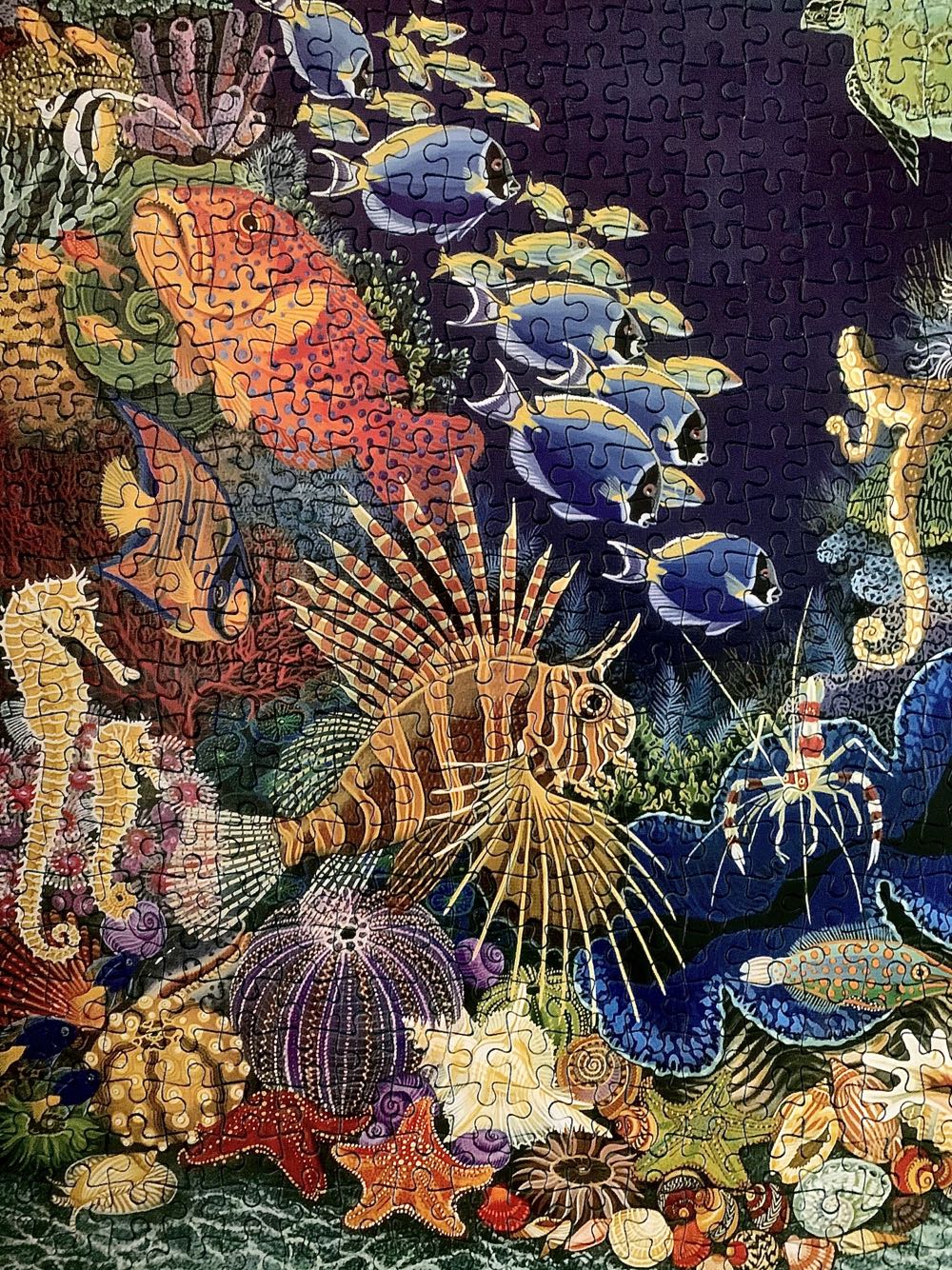 Aqua Eden - Smile🇿🇦 puzzle collectible [Barcode 6002931004168] - Main Image 4