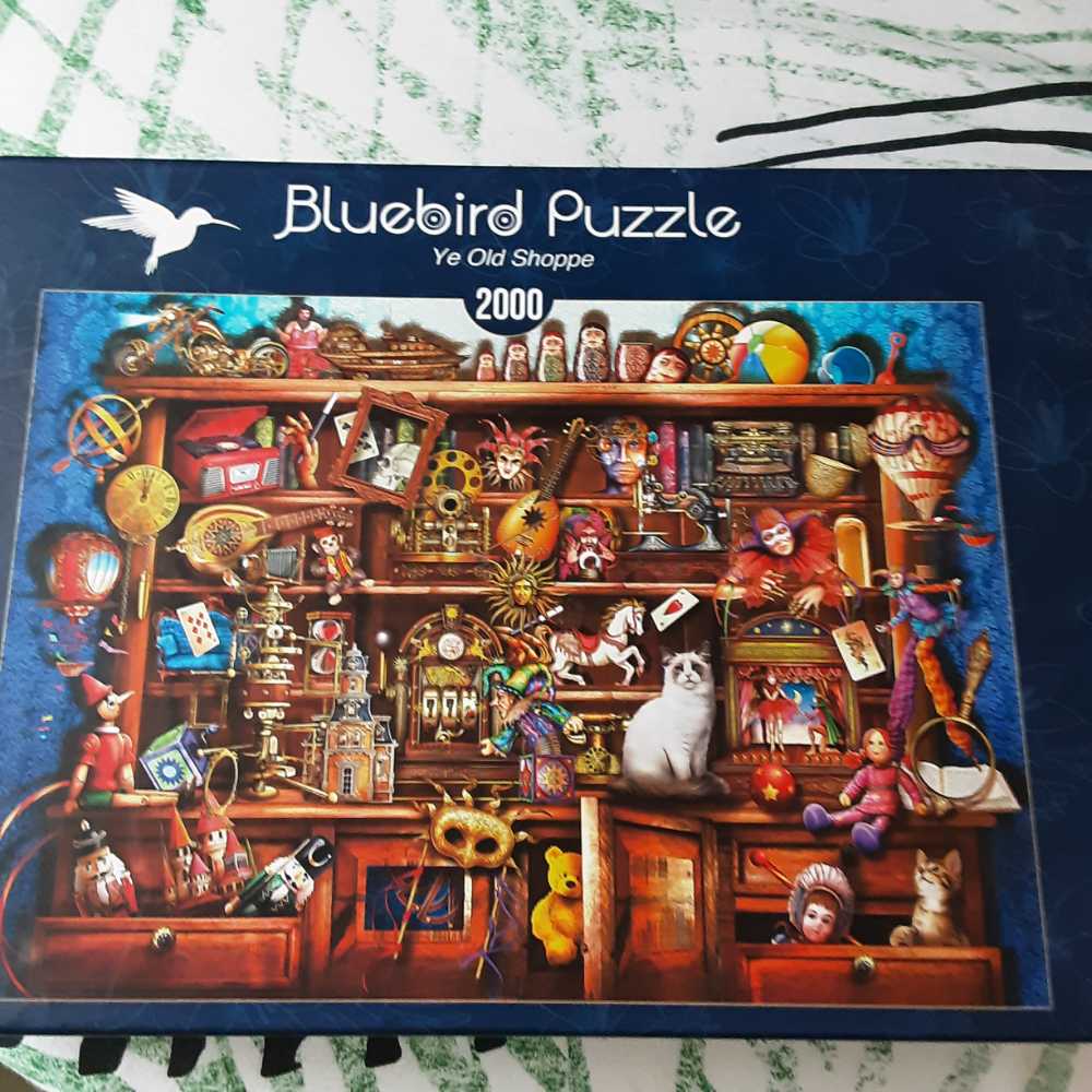 Kerstbomenmarkt 19062